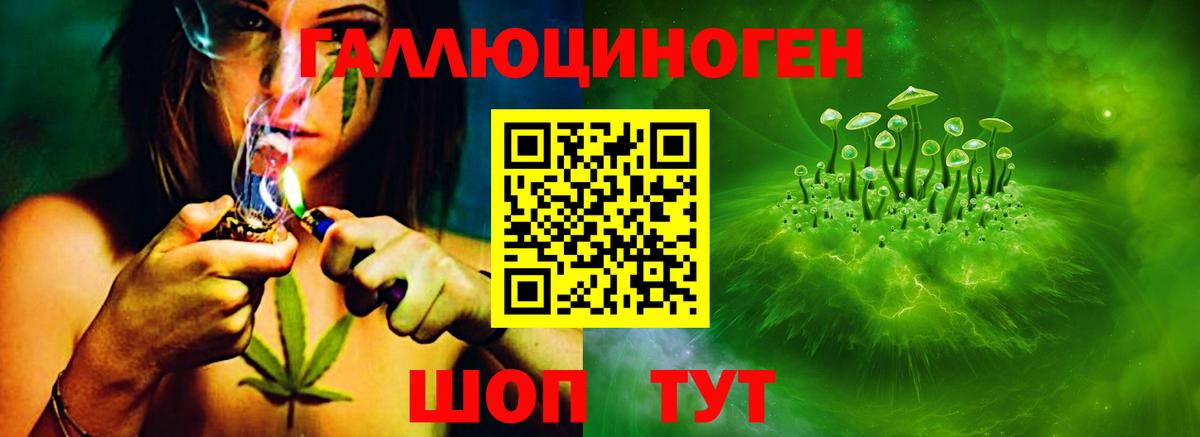 Кирово-Чепецк  Псилоцибиновые грибы Magic Shrooms  Вход с VPN 